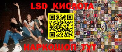 стаф Будённовск