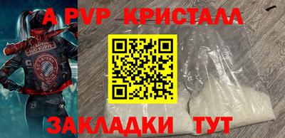 стаф Будённовск