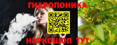 стаф Будённовск