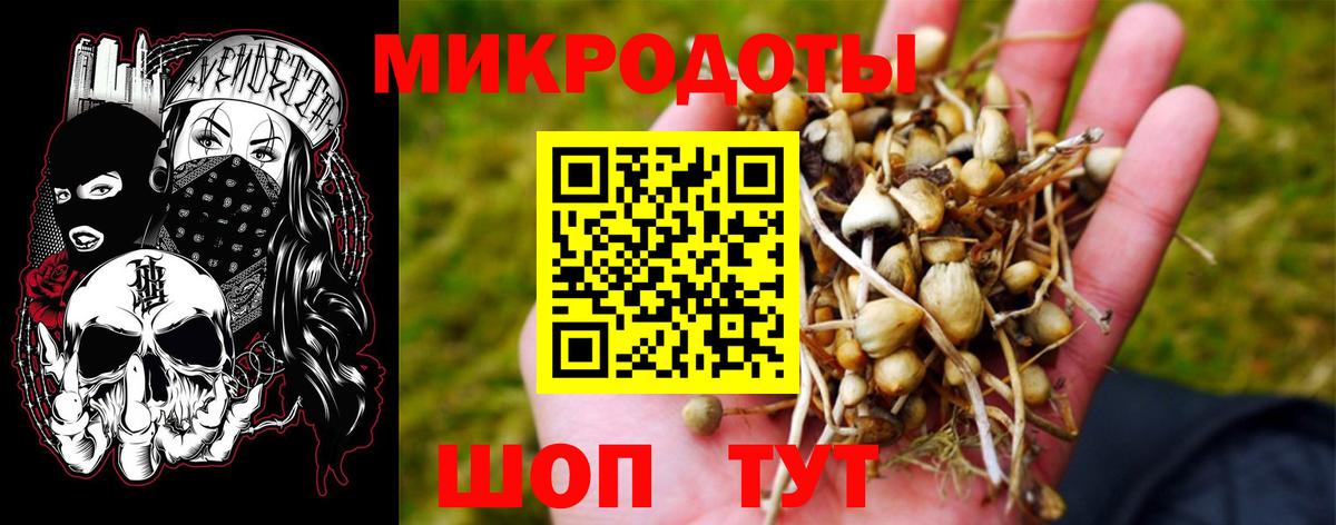 Псилоцибиновые грибы мухоморы  Галлюциногенные грибы Psilocybe  Мариинск  Вход с VPN 